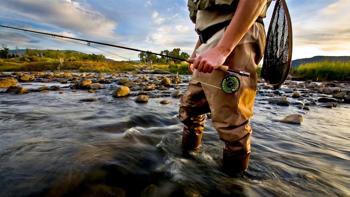 Fly Fishing for Bass: Techniques to Catch More Fish